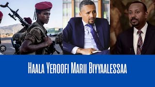 Haala Yeroofi Marii Biyyaalessaa 