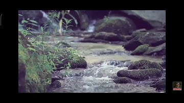 سورة الواقعة/اسلام صبحي من الآية ٦٣ الى ٧٤