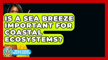 Is A Sea Breeze Important For Coastal Ecosystems? - Weather Watchdog