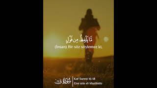 Kaf Suresi 16-18 ᴴᴰ Biz,ona (insana) şah damarından daha yakınız !