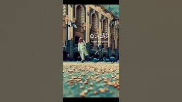 اجمل تلاوة رائعة جميلة 💐حالات واتساب مقاطع دينية قصيرة ⚘#قران_كريم #تلاوات_خاشعة❣#سورة_الرحمن