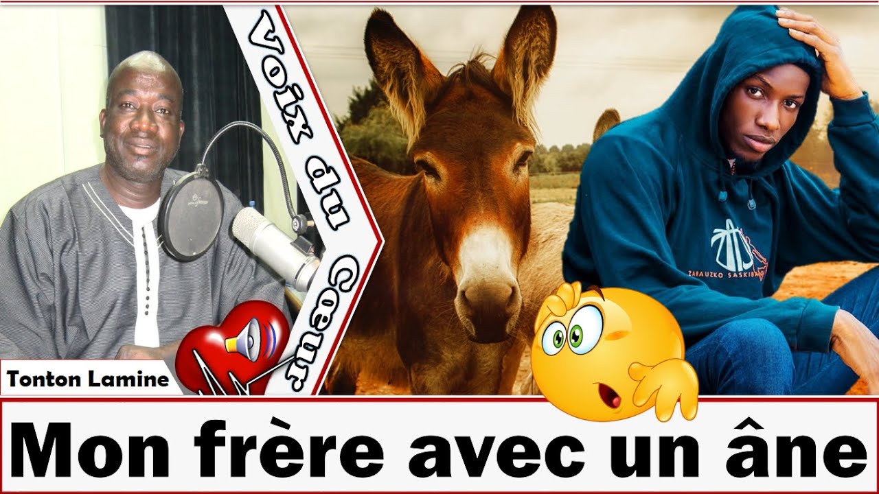 Tonton Lamine - VDC : Kabako 4.0│On a attrapé mon frère avec un âne