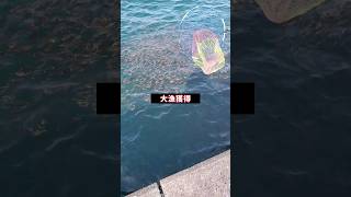 無限に魚が掬える異常事態の堤防