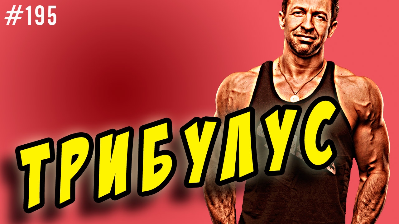 Чтобы Половой Член Лучше Стоял