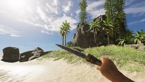 Stranded Deep Snake