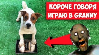 ШОК ► СОБАКА ИГРАЕТ В GRANNY В РЕАЛЬНОЙ ЖИЗНИ ► НА ПЛАНШЕТЕ АНДРОИД/ iPhone X