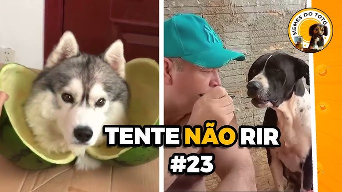 Melhores memes e VIDEOS ENGRAÇADOS do Whatsapp 2023 - Tente Não rir #12  canal 100Tédio memes 