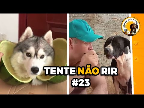 TENTE NÃO RIR #23 - Vídeos ENGRAÇADOS 2023 (MELHORES MEMES)