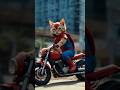 Kucing klo jd superhero #animation #cat #superhero #ai