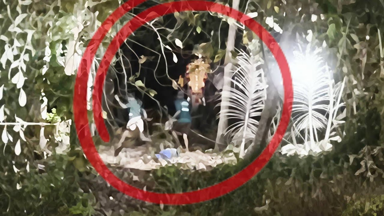 അന്നംകുളങ്ങര പൂരത്തിനിടെ ആന അനുസരണക്കേട് കാട്ടി. ആനയെ തളച്ചു. Annamkulangara Pooram 2026. #pooram 