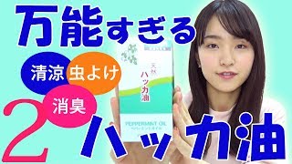大活躍！ハッカ油で色々検証！ホンマに消臭効果あるの？涼しいの？★ハッカ油part2★