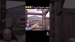 ماهركو بل فلتر المضحك