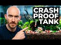 Beginner's Guide: Build a Shrimp Tank That Won't Crash