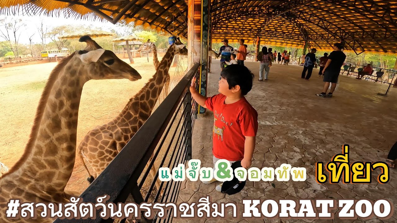 พาเที่ยวสวนสัตว์โคราช Korat Zoo | สวนสัตว์นครราชสีมา KORAT ZOO ล่าสุด 2567 2024