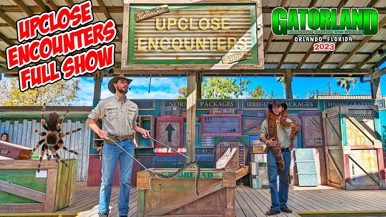 Upclose Encounters Full Show at Gatorland, Florida (2023) [4K] - YouTube