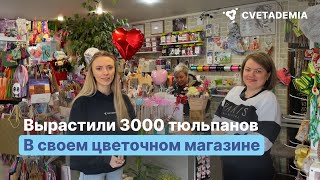 Вырастили 3000 тюльпанов в своем цветочном магазине | Краснодарский край