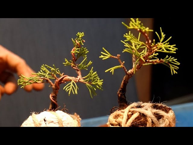 The Great Remodeling of Ezomatsu 2 - YouTube