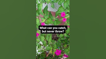 What can you catch,but never throw?#brainteaser #riddle