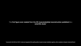 Eofauna Diplodocus 3D reconstruction