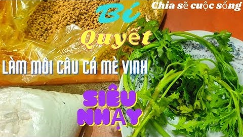 Hướng dẫn làm mồi câu cá mè vinh siêu nhạy,cách làm mồi câu cá mè vinh đơn gian và hiệu quả rẻ tiền