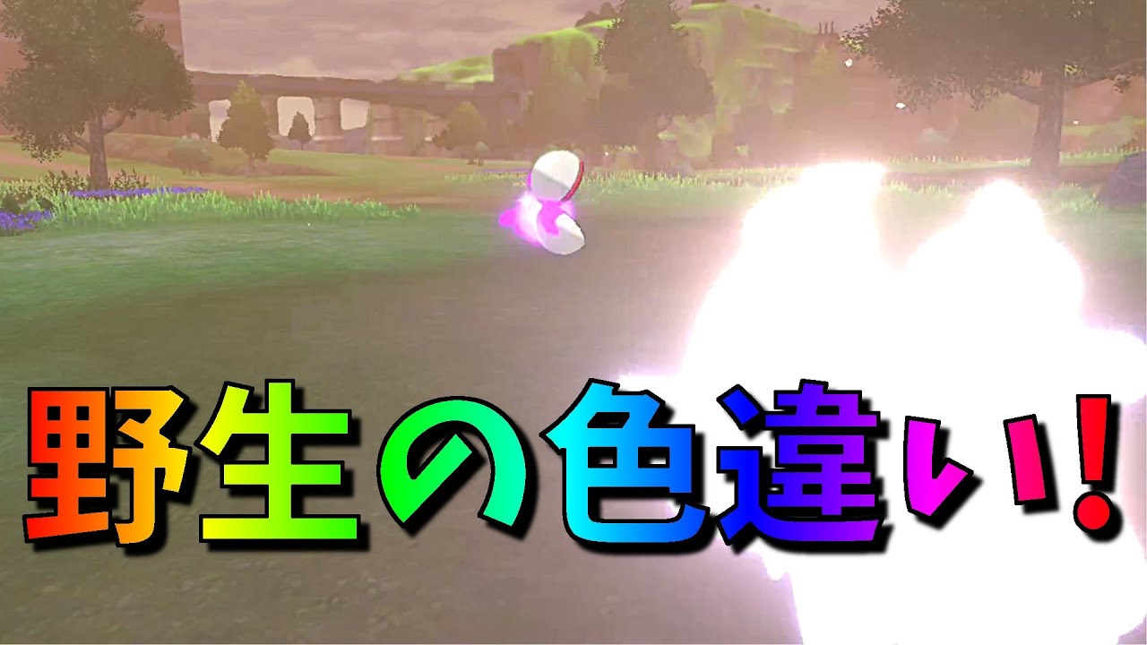 ポケモン ソード シールド 色違い みねうち要員いないと こんな目にあう Part105 Youtube