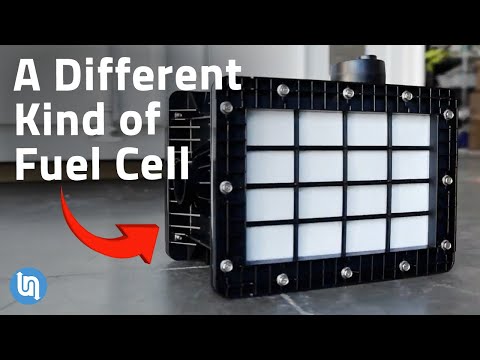 Video: Während des Wachstums erfordert die Synthese von Protoplasma hauptsächlich?