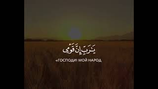 АЯТИ ИЗ КОРАНА #ислам #истина #напоминание