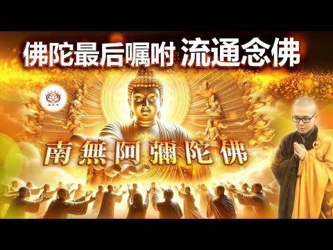 佛陀最后嘱咐流通念佛 | 净本法师 主讲
