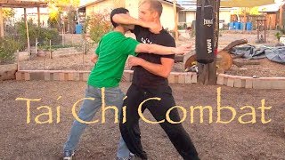 Tai Chi Combat - Push Hands screenshot 4