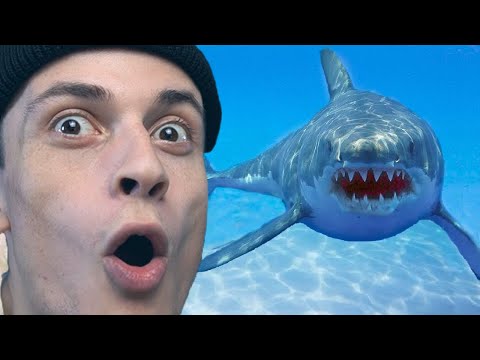 ვამსხვრევ 30 მითს 12 საათში !!