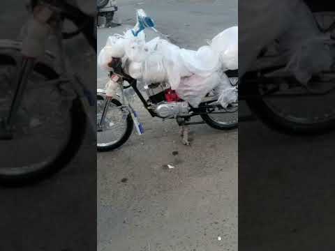 دباب سوزوكي AX100