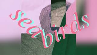 Video thumbnail of "Pizzagirl - Seabirds (Official Audio)"