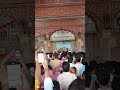 govind devji ke pyare pyare darshan 🙏🚩🙏🥰 comment me kha h ye mandir #bhagwan #aarti #radha