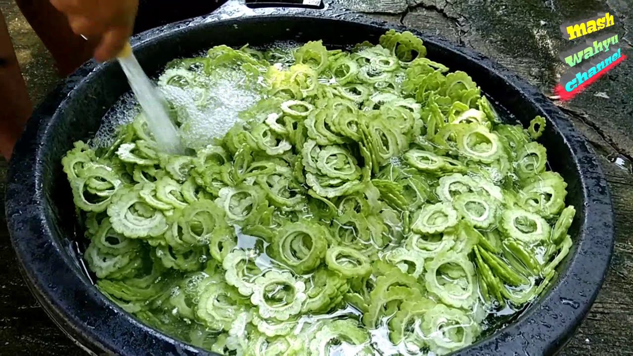 cara membuat keripik pare (krezzzz tidak pahit)