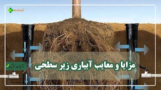 مزایا و معایب آبیاری زیر سطحی