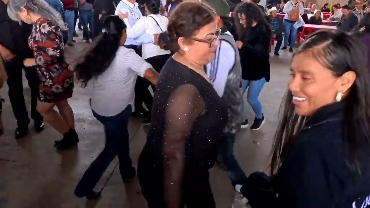 La pulga de álamo tx bailando unos cunbiones 