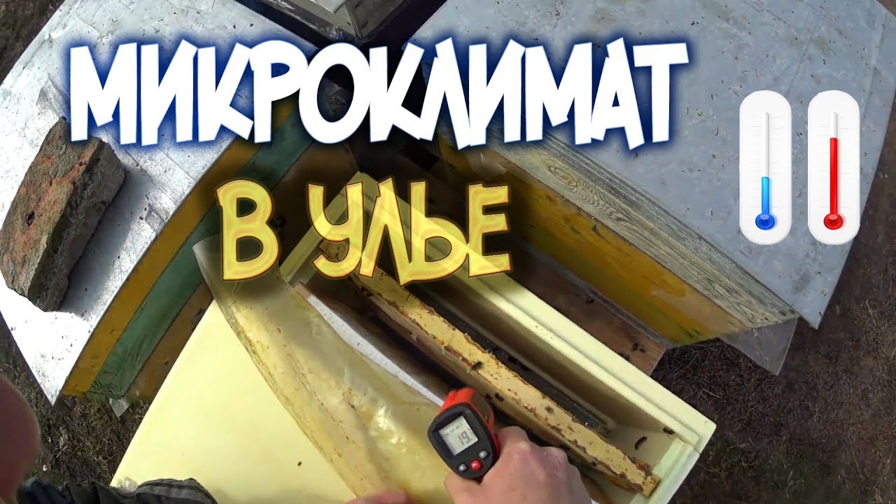 Микроклимат в машине