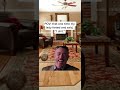 The ol lady got me with a shart… #comedy #lifeisbutadream #relationship #funny