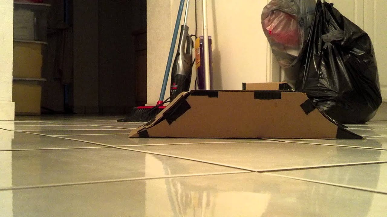 Micro T with cardboard ramps 1