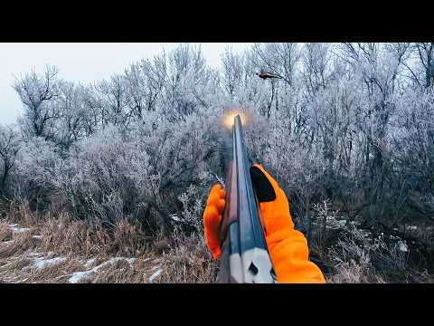 Vision Quest-Mystical Pheasants in the Hoarfrost and Hills of South Dakota