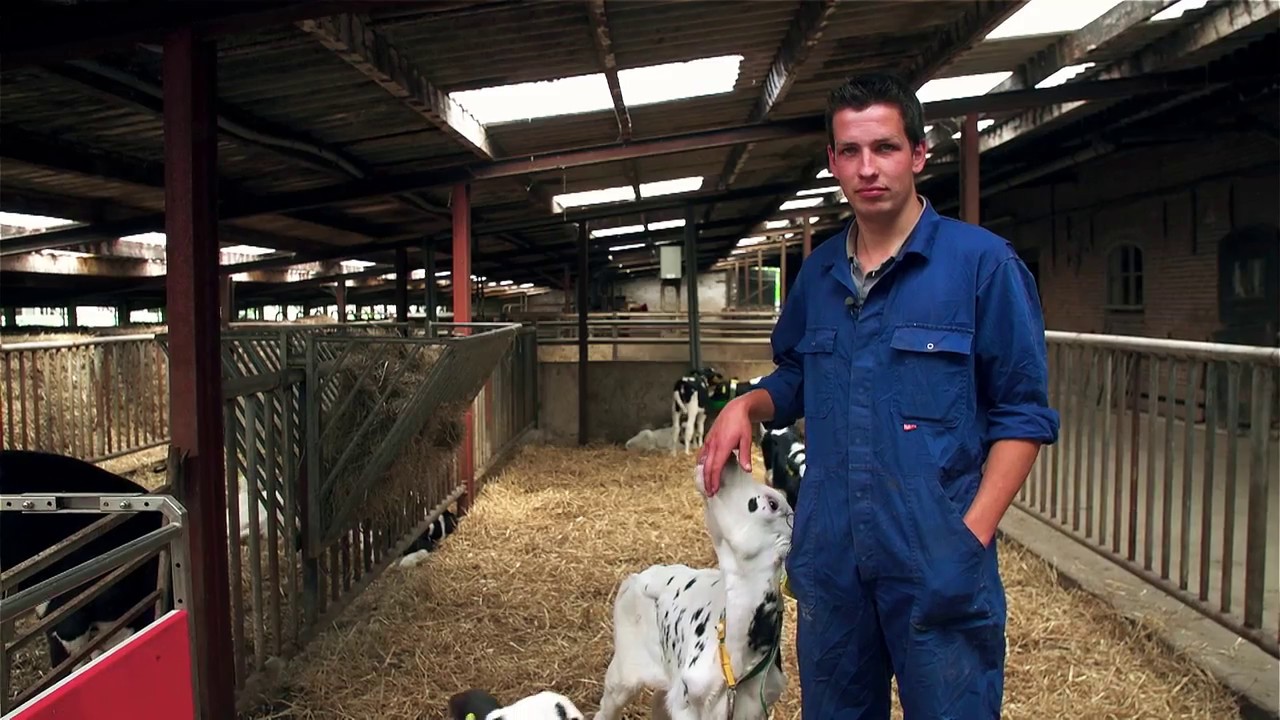 DCMR tussen de koeien | op pad in de regio