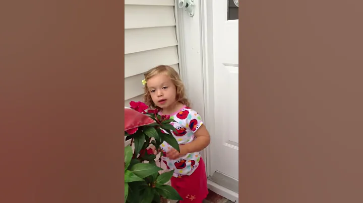 Two year old saying goodbye to her Grandpa with a ...