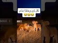 شورت شورتات ريلز اكسبلور ترند ترند 2026 فيديو مضحك مقاطع مضحكة نكت ضحك 