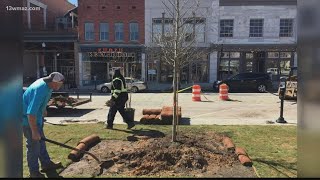 Macon groups plant trees to commemorate Arbor Day