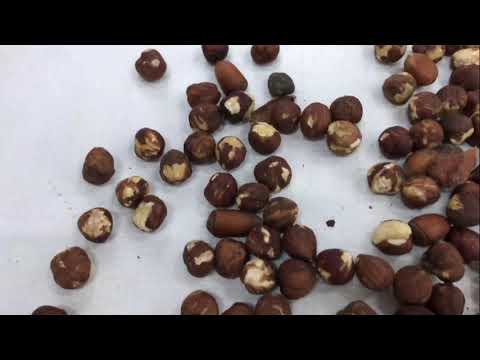 Naturel fındık ayıklama hattı