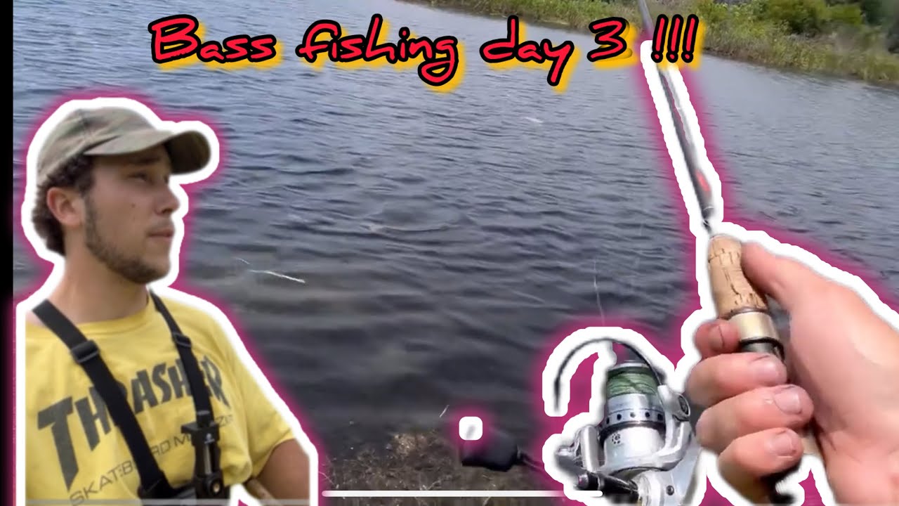 Bass fishing in Florida’s local ponds day 3