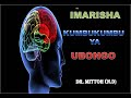 IMARISHA KUMBUKUMBU YA UBONGO BRAIN MEMORY FUNCTION Mittoh Isaac N D 