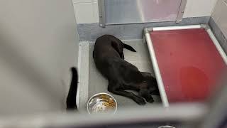 acs A668476