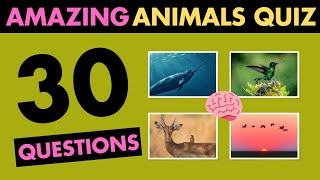 Amazing Animals Quiz 🐋🐘🦍How many can you answer ✅