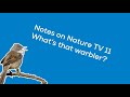Notes on Nature TV 11: Beginner's guide to warblers